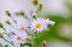 让、大变成“实实正在正在的存款”